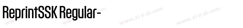 ReprintSSK Regular字体转换 ReprintSSK Regular字体转换